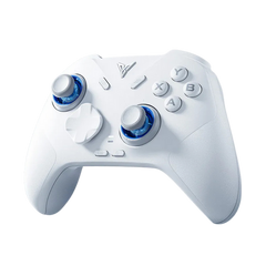 Flydigi Direwolf 4